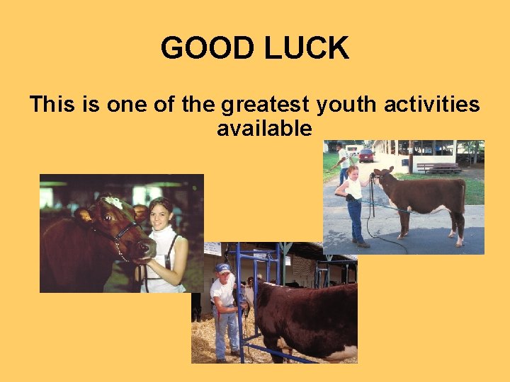 GOOD LUCK This is one of the greatest youth activities available 