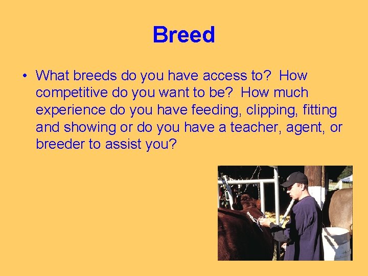 Breed • What breeds do you have access to? How competitive do you want