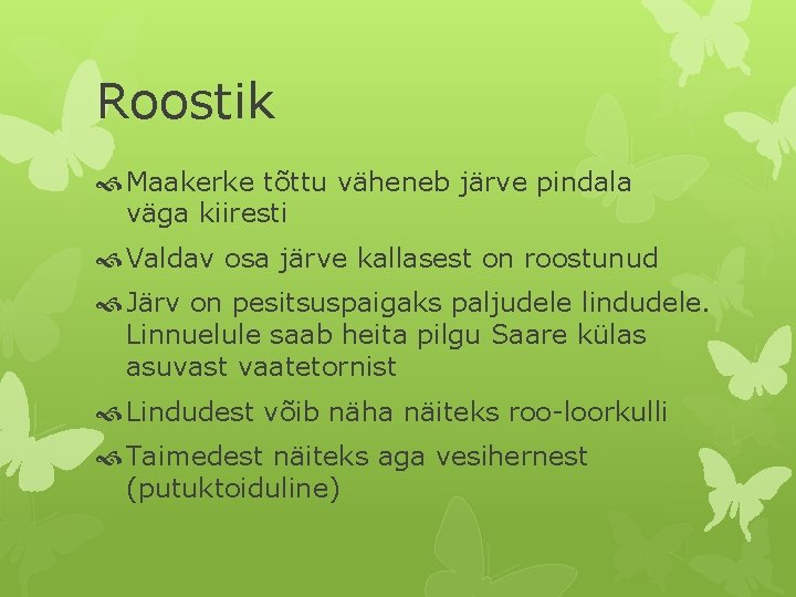 Roostik Maakerke tõttu väheneb järve pindala väga kiiresti Valdav osa järve kallasest on roostunud