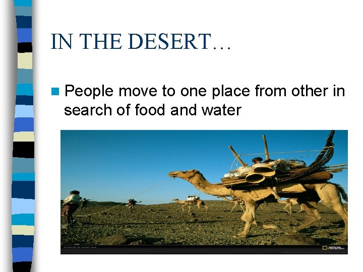 IN THE DESERT… n People move to one place from other in search of