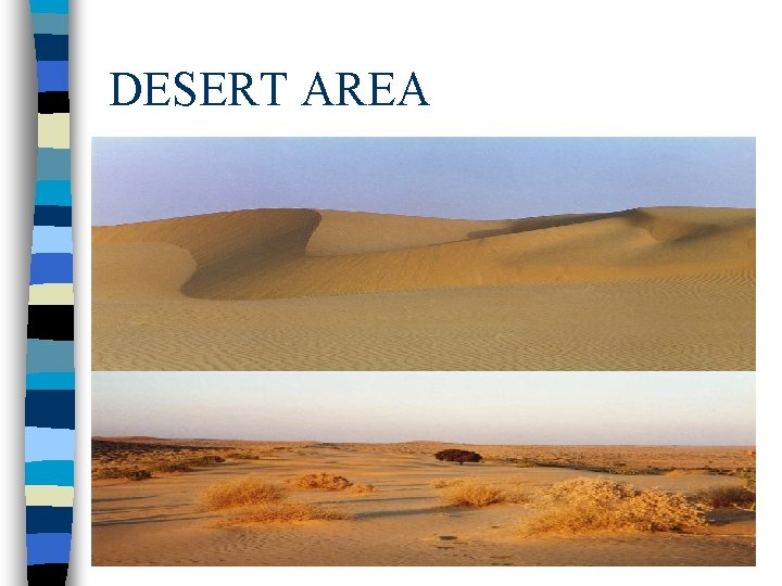 DESERT AREA 