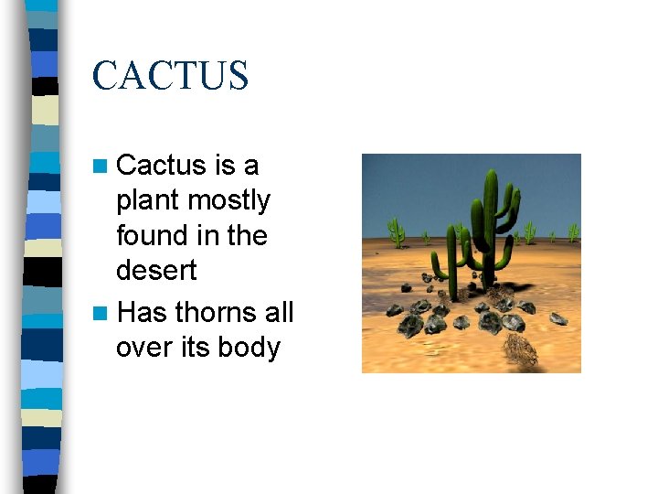 CACTUS n Cactus is a plant mostly found in the desert n Has thorns CACTUS n Cactus is a plant mostly found in the desert n Has thorns