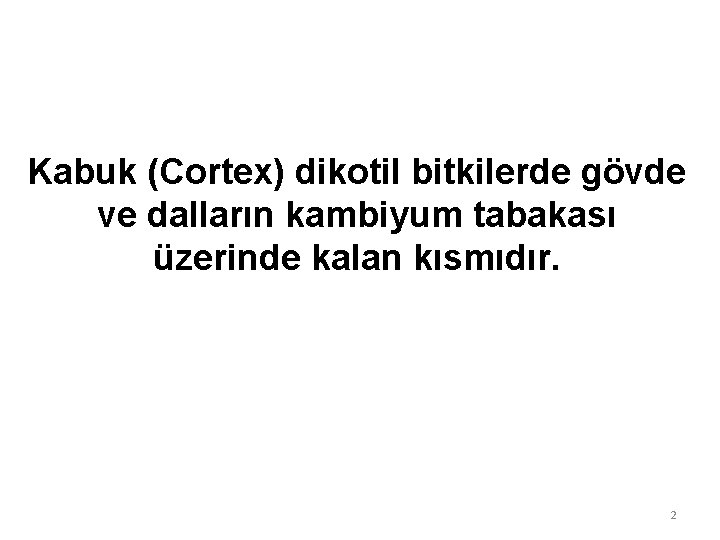 Kabuk (Cortex) dikotil bitkilerde gövde ve dalların kambiyum tabakası üzerinde kalan kısmıdır. 2 