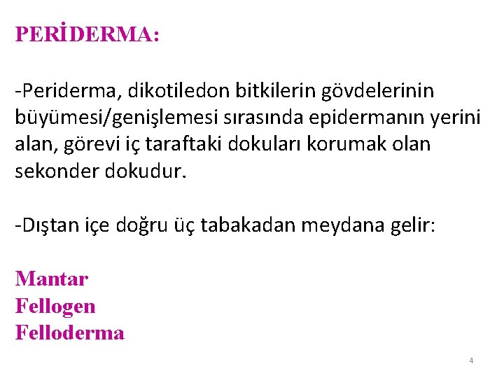 PERİDERMA: -Periderma, dikotiledon bitkilerin gövdelerinin büyümesi/genişlemesi sırasında epidermanın yerini alan, görevi iç taraftaki dokuları