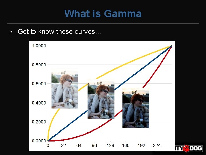 What is Gamma • Get to know these curves… 