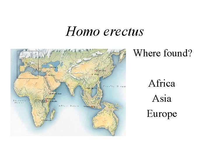 Homo erectus Where found? Africa Asia Europe 