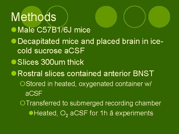 Methods l Male C 57 B 1/6 J mice l Decapitated mice and placed