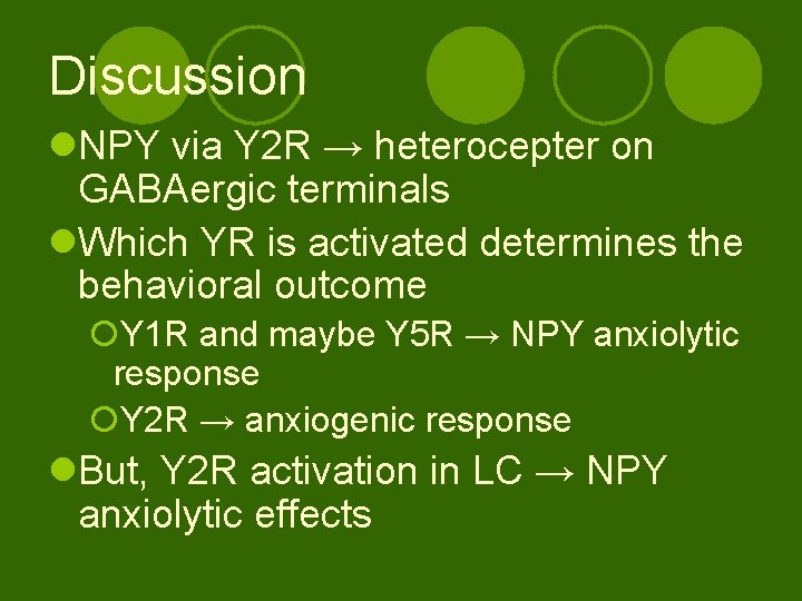 Discussion l. NPY via Y 2 R → heterocepter on GABAergic terminals l. Which