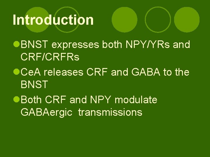Introduction l. BNST expresses both NPY/YRs and CRF/CRFRs l. Ce. A releases CRF and