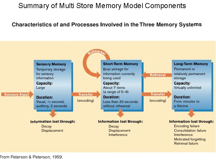 Summary of Multi Store Memory Model Components 