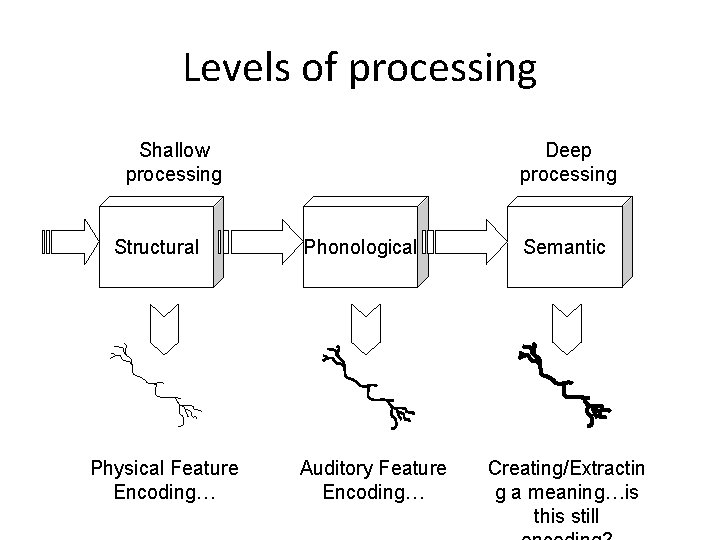 Levels of processing Shallow processing Structural Physical Feature Encoding… Deep processing Phonological Auditory Feature