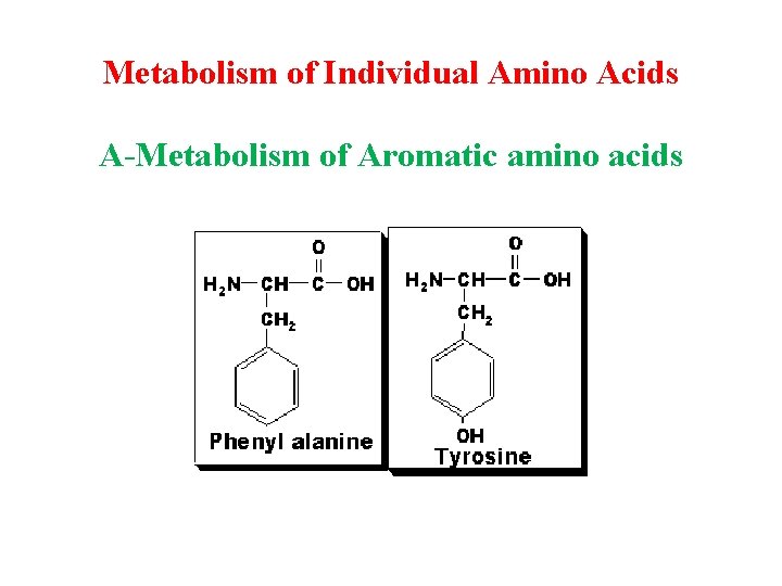Metabolism of Individual Amino Acids A-Metabolism of Aromatic amino acids 