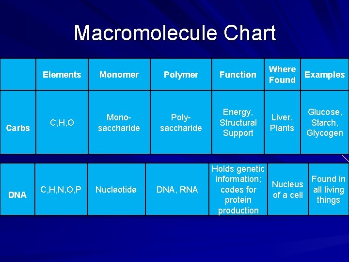 Macromolecule Chart Carbs DNA Elements Monomer Polymer Function Where Found Examples C, H, O