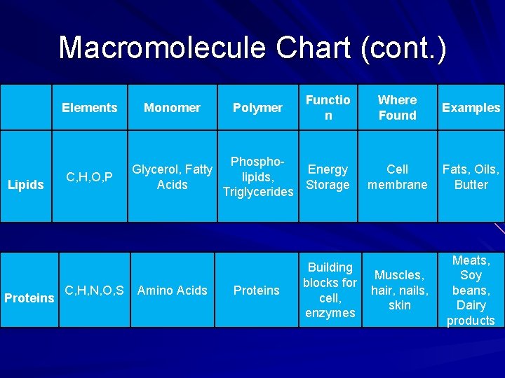 Macromolecule Chart (cont. ) Lipids Proteins Elements Monomer C, H, O, P Glycerol, Fatty