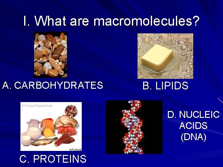 I. What are macromolecules? A. CARBOHYDRATES B. LIPIDS D. NUCLEIC ACIDS (DNA) C. PROTEINS