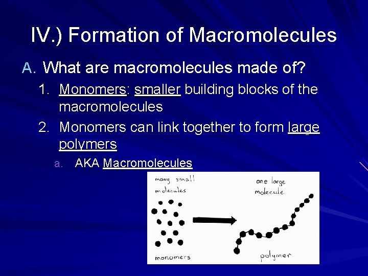 IV. ) Formation of Macromolecules A. What are macromolecules made of? 1. Monomers: smaller