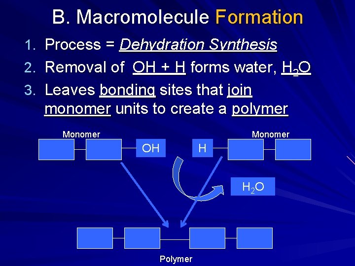 B. Macromolecule Formation 1. Process = Dehydration Synthesis 2. Removal of OH + H