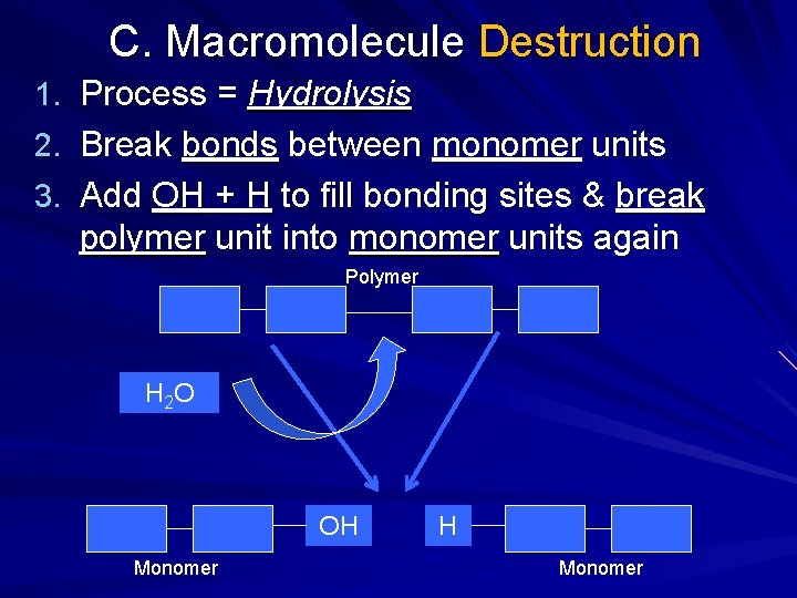 C. Macromolecule Destruction 1. Process = Hydrolysis 2. Break bonds between monomer units 3.