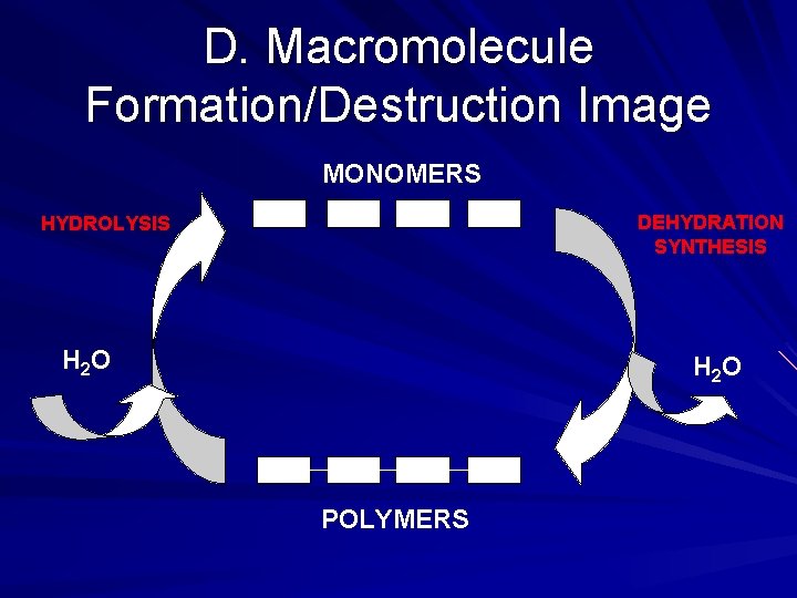 D. Macromolecule Formation/Destruction Image MONOMERS DEHYDRATION SYNTHESIS HYDROLYSIS H 2 O POLYMERS 