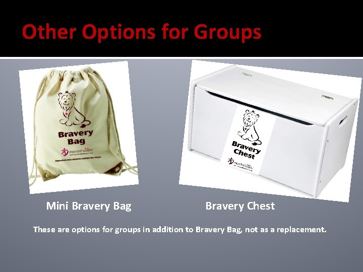 Other Options for Groups Mini Bravery Bag Bravery Chest These are options for groups