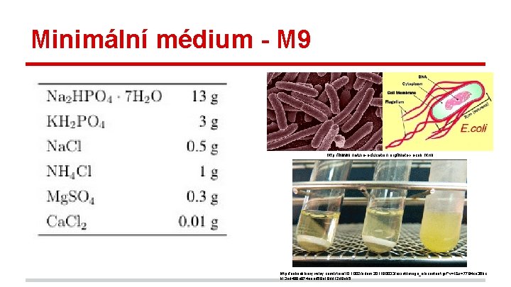 Minimální médium - M 9 http: //www. nature-education. org/water-ecoli. html http: //onlinelibrary. wiley. com/store/10.