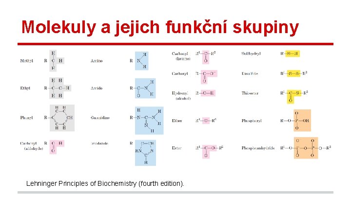 Molekuly a jejich funkční skupiny Lehninger Principles of Biochemistry (fourth edition). 