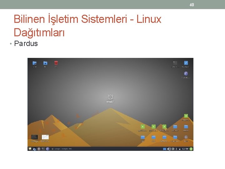 40 Bilinen İşletim Sistemleri - Linux Dağıtımları • Pardus 