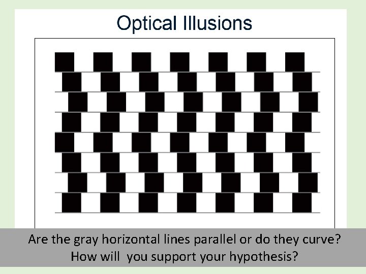 Are the gray horizontal lines parallel or do they curve? How will you support