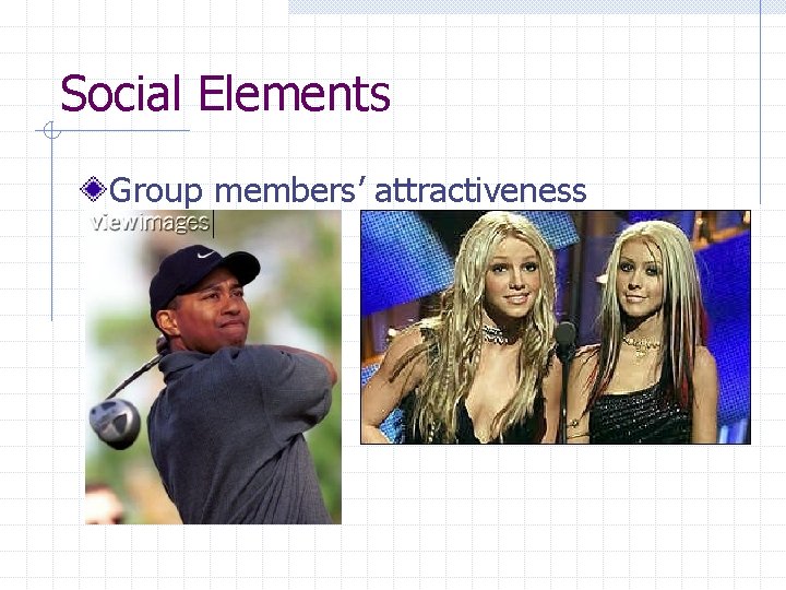 Social Elements Group members’ attractiveness 