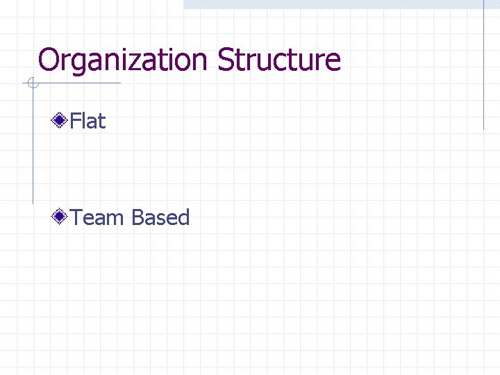 Organization Structure Flat Team Based 