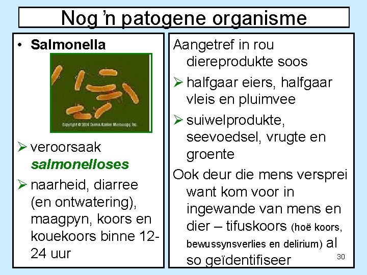 Nog ŉ patogene organisme • Salmonella Aangetref in rou diereprodukte soos Ø halfgaar eiers,