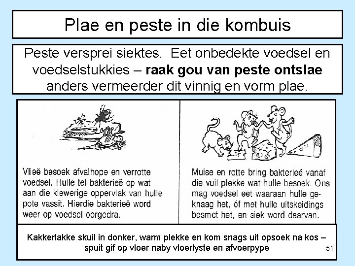 Plae en peste in die kombuis Peste versprei siektes. Eet onbedekte voedsel en voedselstukkies