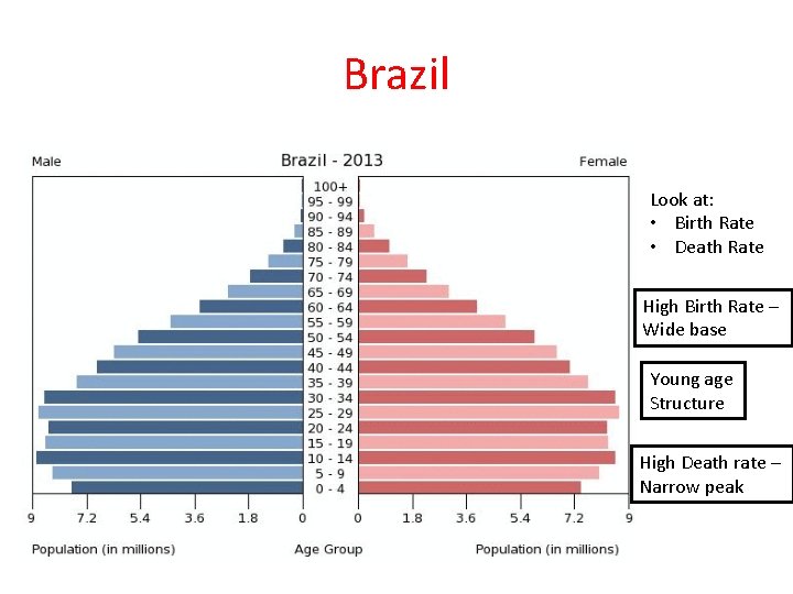 Brazil Look at: • Birth Rate • Death Rate High Birth Rate – Wide
