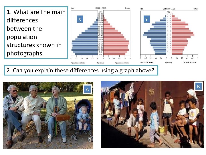 1. What are the main differences between the population structures shown in photographs. X