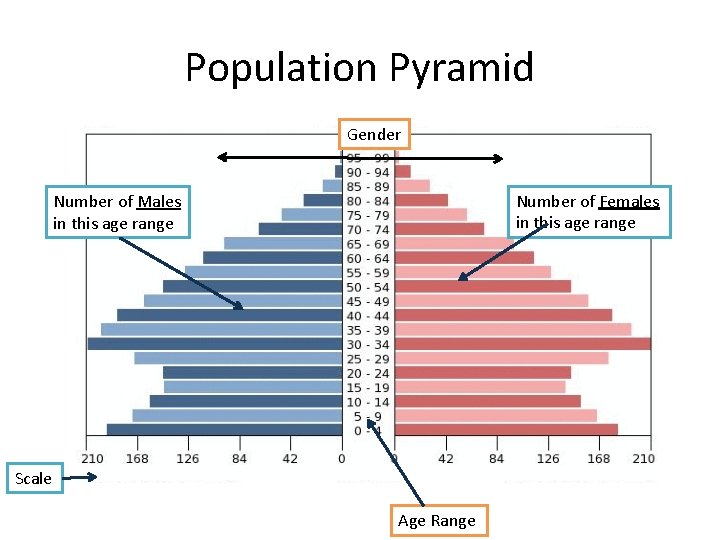 Population Pyramid Gender Number of Females in this age range Number of Males in