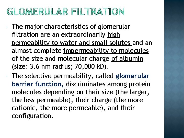  The major characteristics of glomerular filtration are an extraordinarily high permeability to water