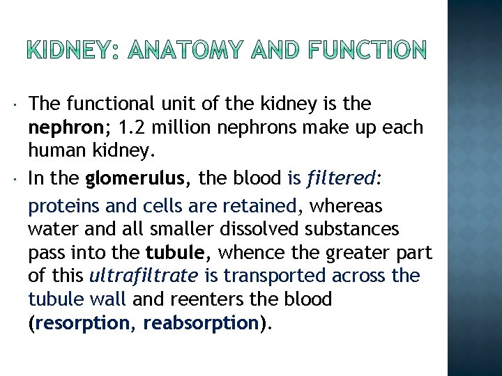  The functional unit of the kidney is the nephron; 1. 2 million nephrons