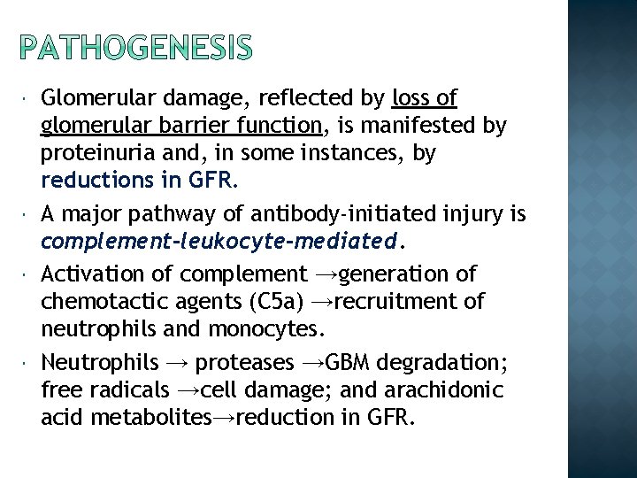  Glomerular damage, reflected by loss of glomerular barrier function, is manifested by proteinuria