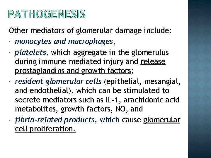 Other mediators of glomerular damage include: monocytes and macrophages, platelets, which aggregate in the