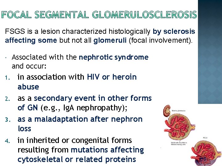 FSGS is a lesion characterized histologically by sclerosis affecting some but not all glomeruli