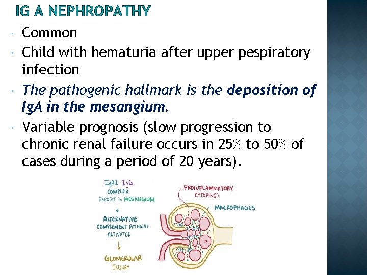 IG A NEPHROPATHY Common Child with hematuria after upper pespiratory infection The pathogenic hallmark