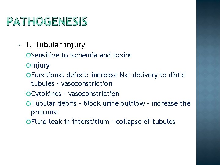  1. Tubular injury Sensitive to ischemia and toxins Injury Functional defect: increase Na+