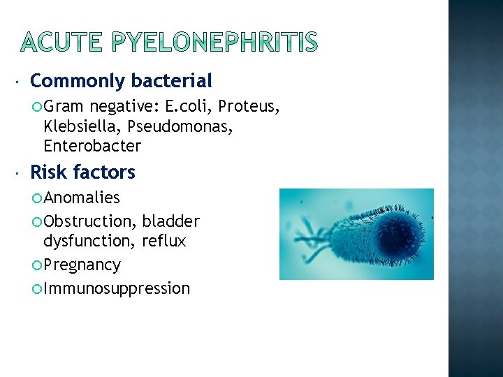  Commonly bacterial Gram negative: E. coli, Proteus, Klebsiella, Pseudomonas, Enterobacter Risk factors Anomalies