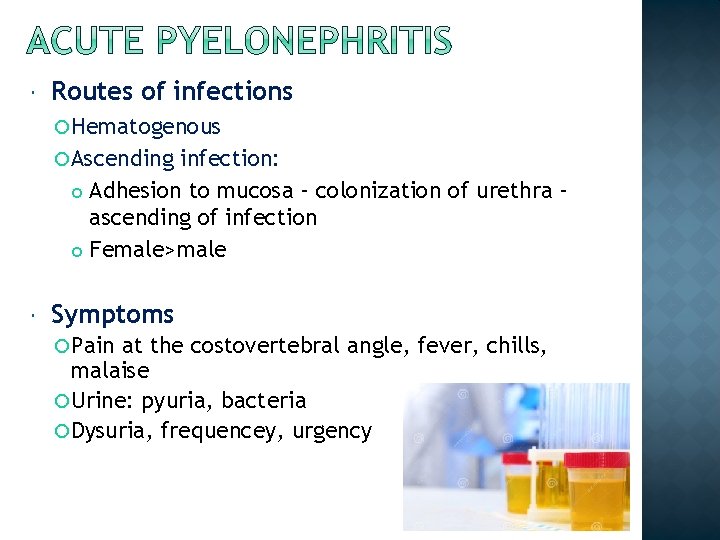  Routes of infections Hematogenous Ascending infection: Adhesion to mucosa – colonization of urethra