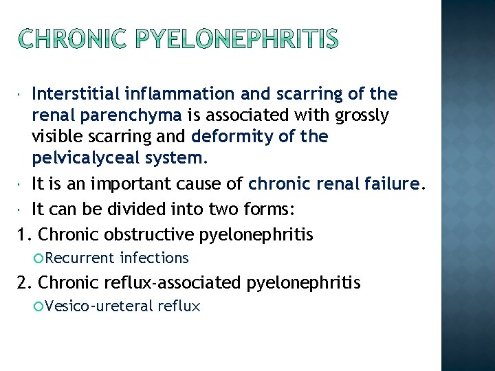 Interstitial inflammation and scarring of the renal parenchyma is associated with grossly visible scarring