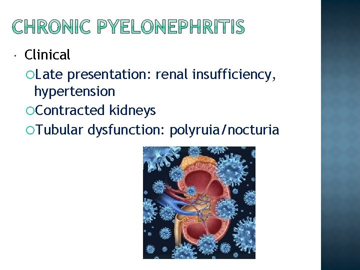  Clinical Late presentation: renal insufficiency, hypertension Contracted kidneys Tubular dysfunction: polyruia/nocturia 