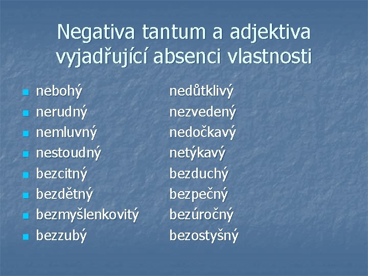 Negativa tantum a adjektiva vyjadřující absenci vlastnosti n n n n nebohý nerudný nemluvný