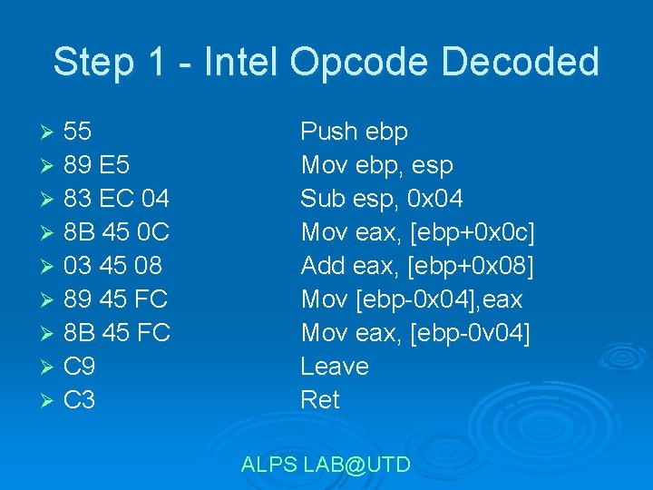 Step 1 - Intel Opcode Decoded 55 Ø 89 E 5 Ø 83 EC