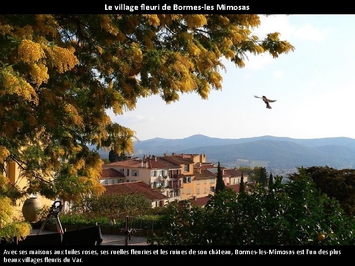 Le village fleuri de Bormes-les Mimosas Avec ses maisons aux tuiles roses, ses ruelles