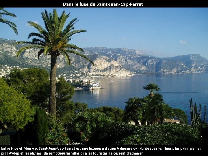 Dans le luxe de Saint-Jean-Cap-Ferrat Entre Nice et Monaco, Saint-Jean-Cap-Ferrat est une luxueuse station
